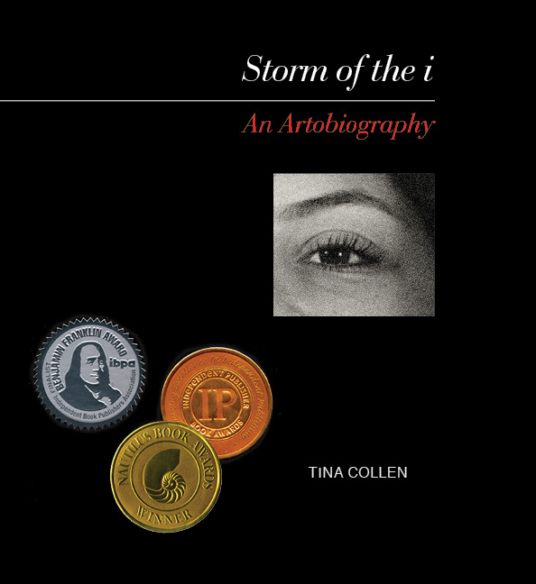 Storm of the i Book Cover with Award Medallions